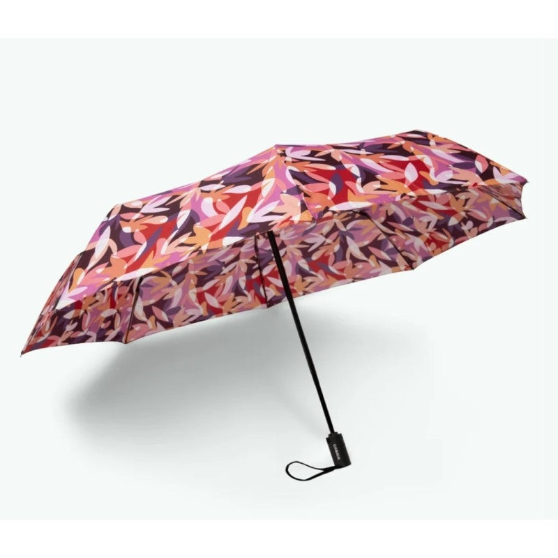 Parapluie - Montreuil