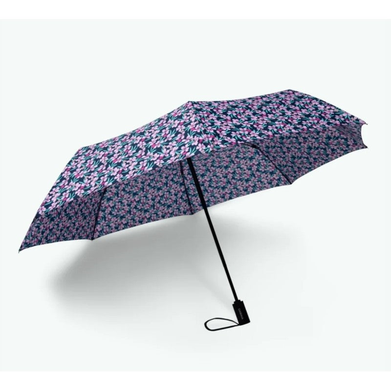 Parapluie - Cagliari