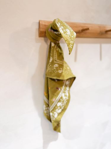 Foulard teckel kaki