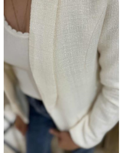 Blazer tweed