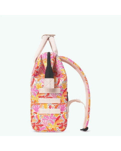 Adventurer S Pirae