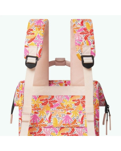 Adventurer S Pirae