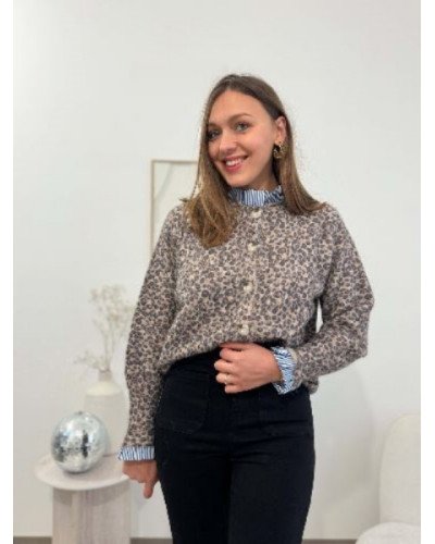 Pull leopard / rayures 