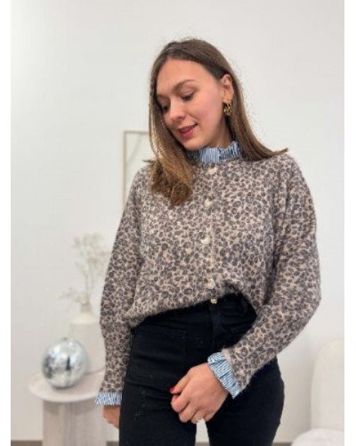 Pull leopard / rayures 