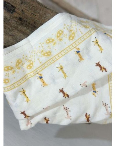 Foulard indien écru - Teckel