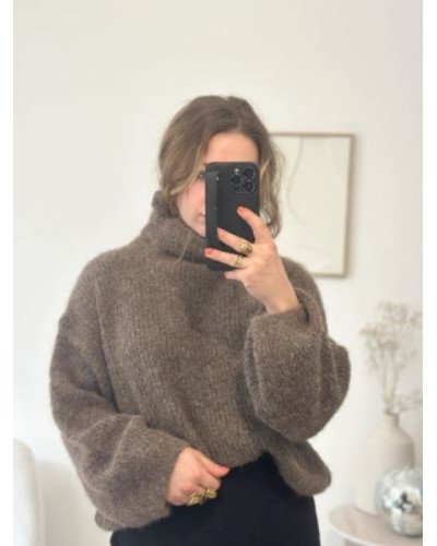 Pull col montant Raphael - Marron