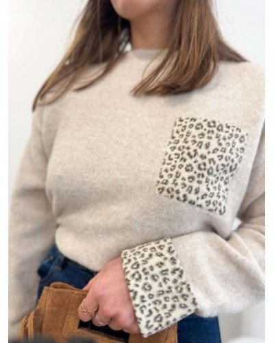 pull léopard