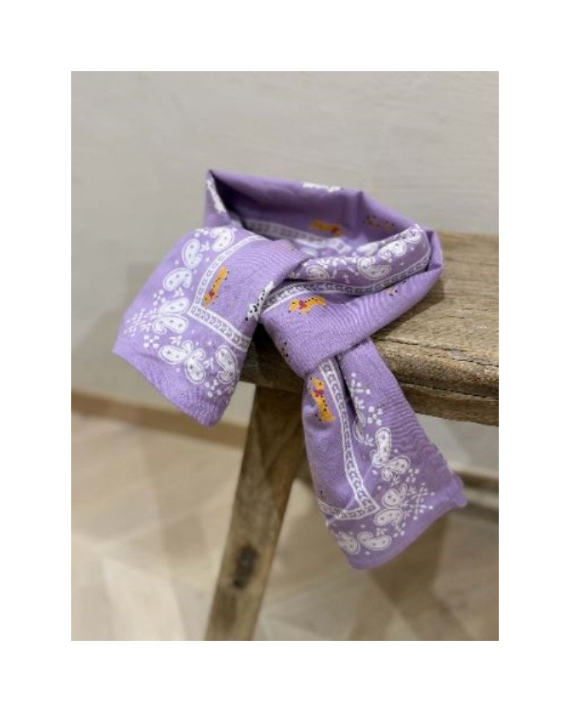 Foulard teckel le MUST-Have côté originalité du moment !