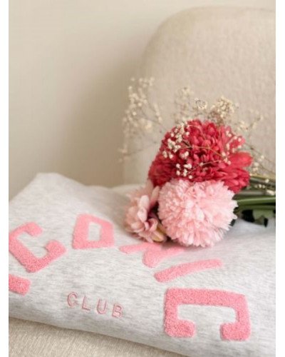 Sweat gris clair ICONIC – Broderie en relief rose pâle, style moderne