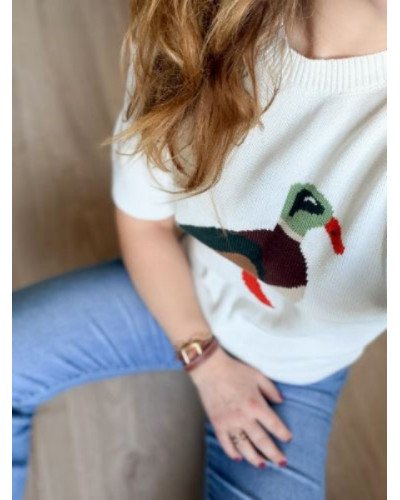Pull canard crochet