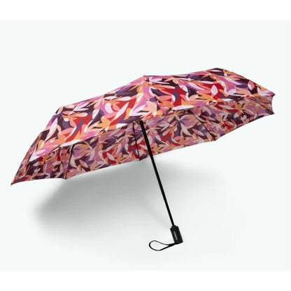 Parapluie - Montreuil