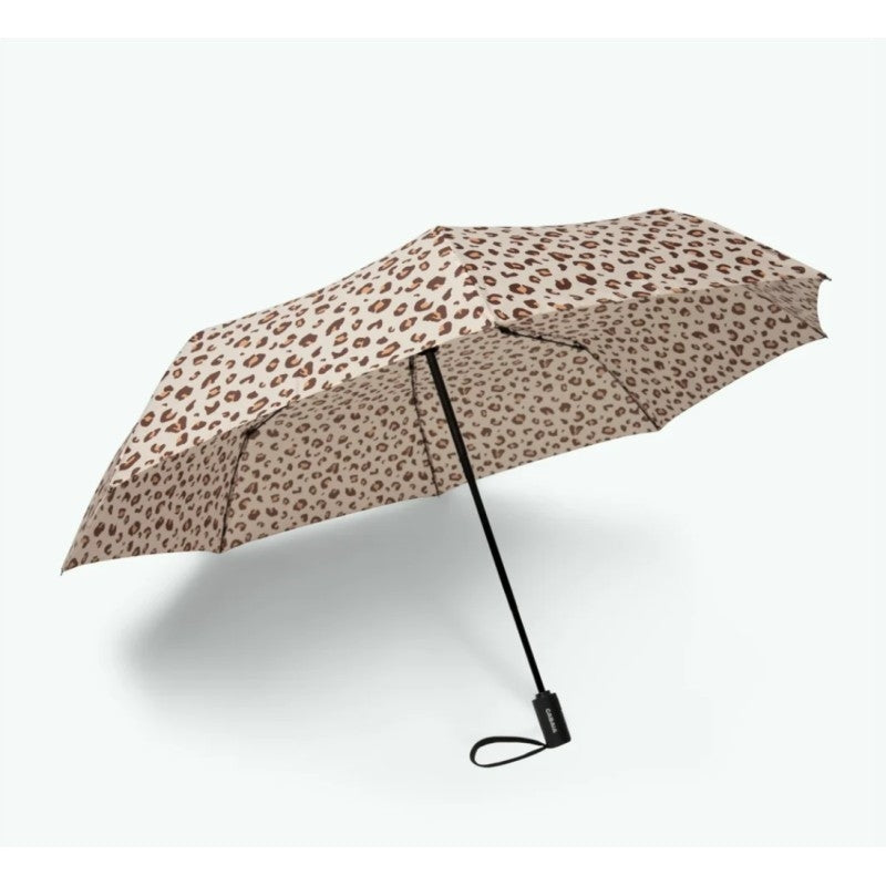 Parapluie - Martel