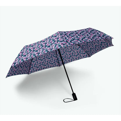 Parapluie - Cagliari