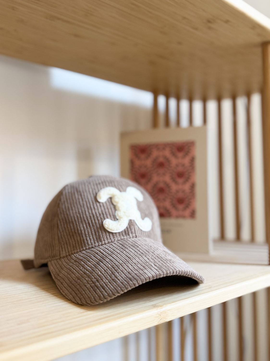 Casquette Léon - Velours taupe