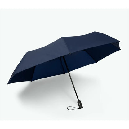 Parapluie - Reykjavik