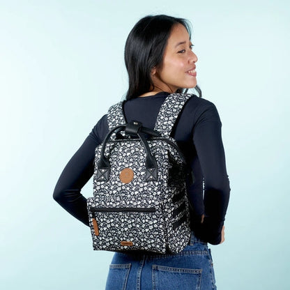 Adventurer S - Catane