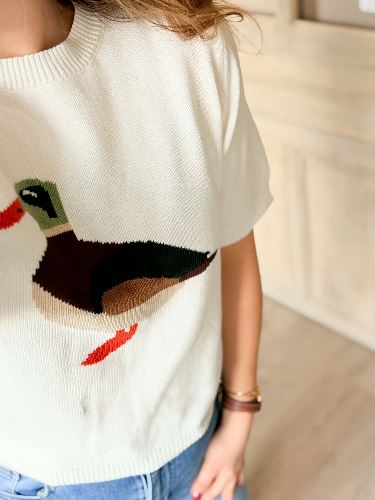 Pull canard crochet